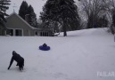 Sledding Scorpion