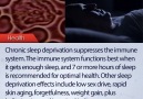 Sleep Deprivation and the Immune System