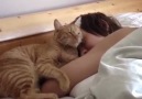 Sleeping with a cat