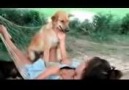 Smart Girl Training Dog Eat Food On Her