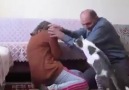 Smart kitty prevents man from attacking his wife Credit Rumble