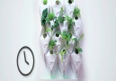 Smart vertical garden