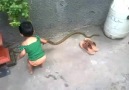 snake / Baby