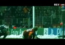Sneijder'in Tarihe geçen golü..