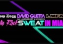 Snoop Dogg & David Guetta vs. LMFAO - Party Rock Sweat in Miami