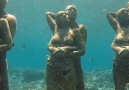 Snorkel through this underwater sculpture garden.