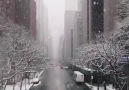 Snowfall in New York City