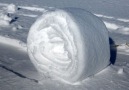 Snow Rollers and Frost Flower