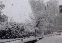 Snow storm CHECK OUR NEW CHRISTMAS... - Christmas Movies