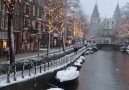 Snowy days in Amsterdam