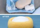 Soap Dish Sponge