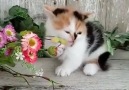 So Cute baby !! - Beautiful photo and video