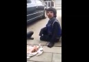 Sokak Çocuğu Barış'tan Muhteşem Türkü(Yolun Ve bahtın olsun ço...