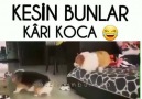 Sokaklar Hayat Bulsun