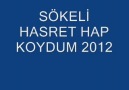 SÖKELİ HASRET*HAP KOYDUM ..*BY ROMDİ*2012*