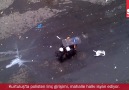 soL, 16 Haziran 2013 tarihinde yaşanan polis vahşetini ve halkın