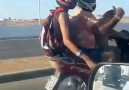 Solo Perros - Un perro manejando una moto..... Y sin casco !!! Facebook