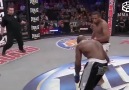 Some of the best KOs and Hits in MMA!