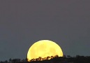 Sometimes a simple supermoon can be quite nice to watch as it rolls up the hill