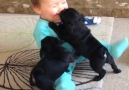 So much cuteness in one video!