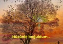 ...Sonbahar oldum... Garibim vuruldum... - İDA Dizayn Mimarlık