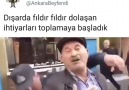 Son çare bu - Ankara Beyfendisi