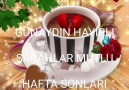 Son Gülüm - G Ü N A Y D I N .*.*..*.*.H...