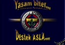 Son mohikan fenerbahçe(ŞAMPİYON fenerbahçe)