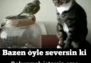 Sonsuz aşkım le 17 fvrier