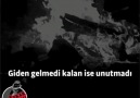 Sonsuz aşkım - Unutmadı