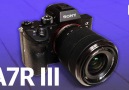 Sony&A7R III mirrorless can take anything you throw at it