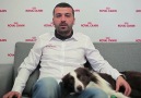 27. soru: Başka köpeklere karşı saldırganlık