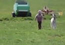 SO SWEET! Little Girl and a Pony! They are best buddies