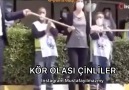 Sosyal Mesafe Farkı İle Halay Böyle... - Mustafa Yılmaz My - Müzik