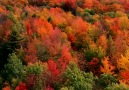 Sound Of Silence - Autumn colours in Vermont USA Facebook