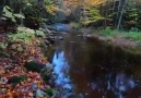 Sound Of Silence - Autumn Facebook