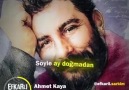 Söyle yağmur çamur.. - Ahmet Kaya Sevdası