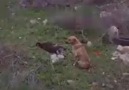 Söyleyecek söz bulamıyorum artık