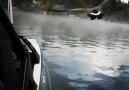 Special moments great video from 2017. See you on the water in 2018.