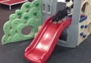 Spiderman & Ivy learn to slide at daycare!! )