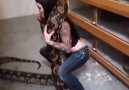 Squatting the Snake