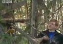 Squirrel Trap & Hobo-Fishing - Ray Mears Extreme Survival