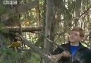 Squirrel Trap & Hobo-Fishing - Ray Mears Extreme Survival