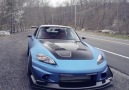  S2000  Shark of the Street