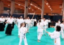 Stage Gennaio 2019 &quotASAI Aikido Italia meets Leo Tamaki"