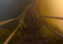 Stairway to heaven Haiku trail hike HawaiiTag who youd hike with!