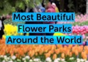 Stay Here Forever - Most Beautiful Flower Parks Around the World Facebook