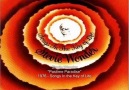 Stevie Wonder / Passtime Paradise