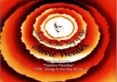 Stevie Wonder / Passtime Paradise