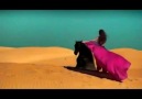 ______STING_______DESERT ROSE_______